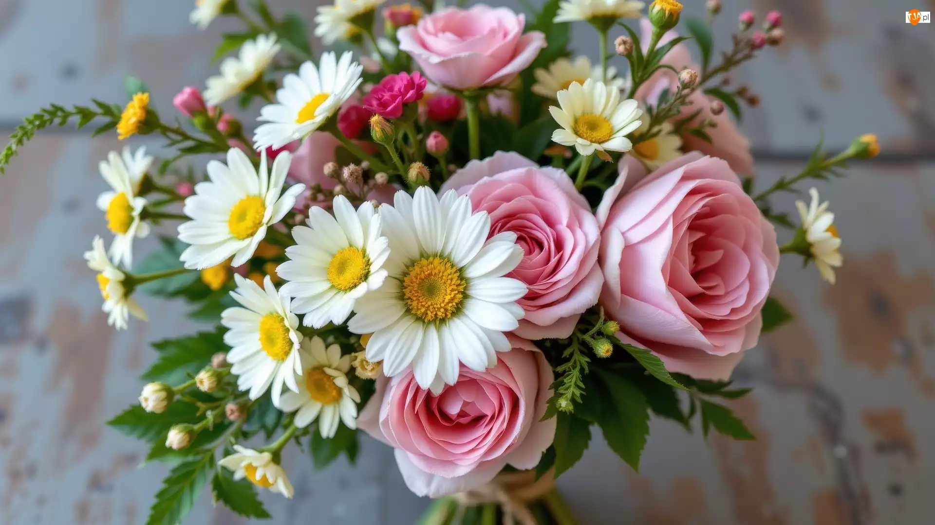 Bukiet, Kwiaty, Róże, Margerytki, Różowe, Białe