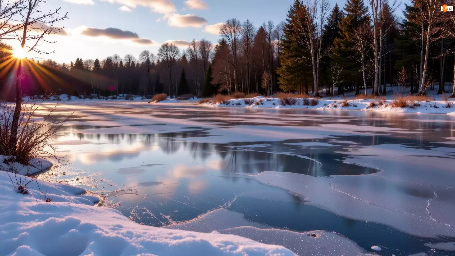 Zamarznięte, Zima, Śnieg, Drzewa, Jezioro, Promienie słońca