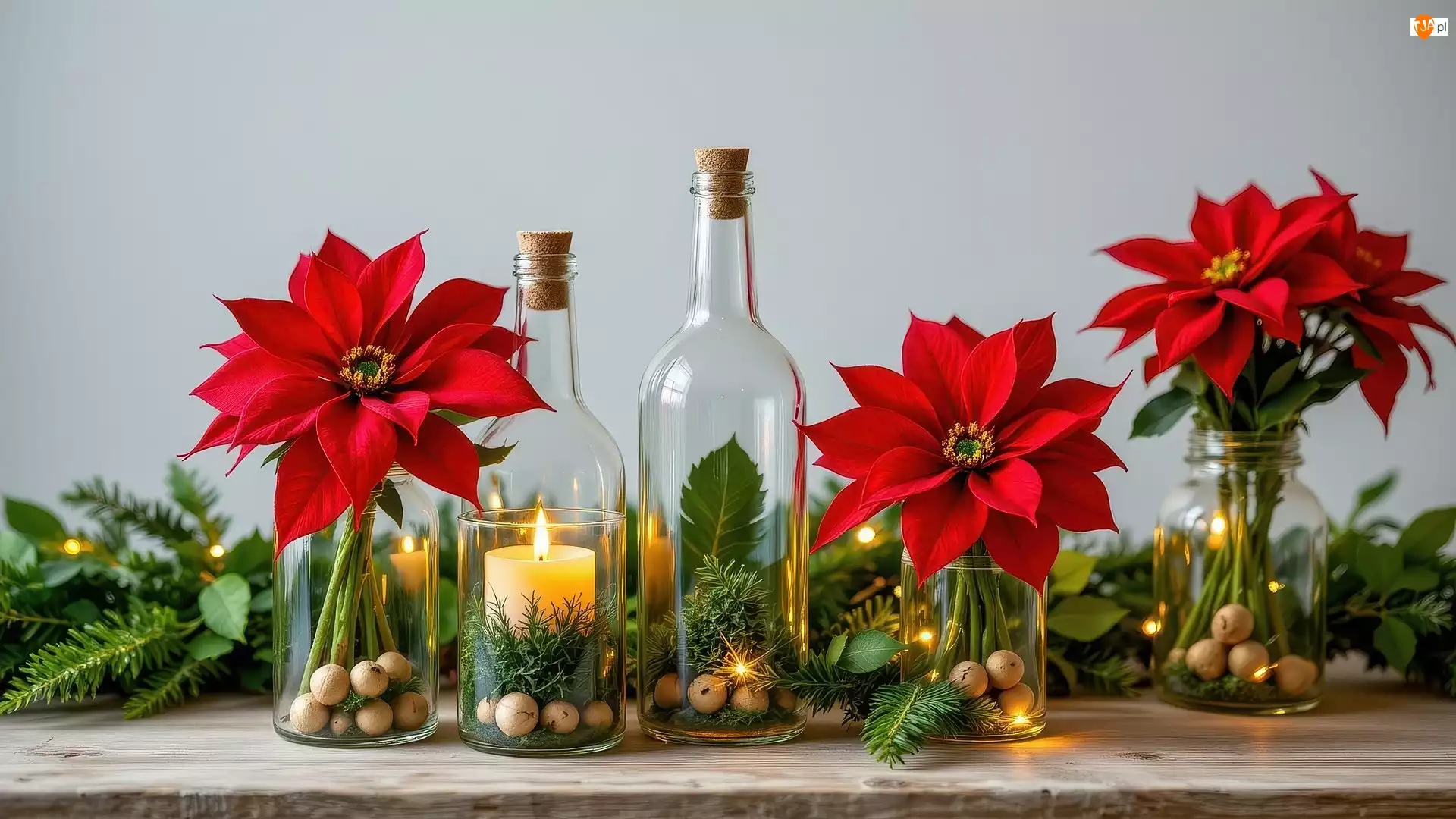 Zielone, Kwiaty, Słoiki, Rośliny, Gwiazda betlejemska, Świeca, Kompozycja, Butelki