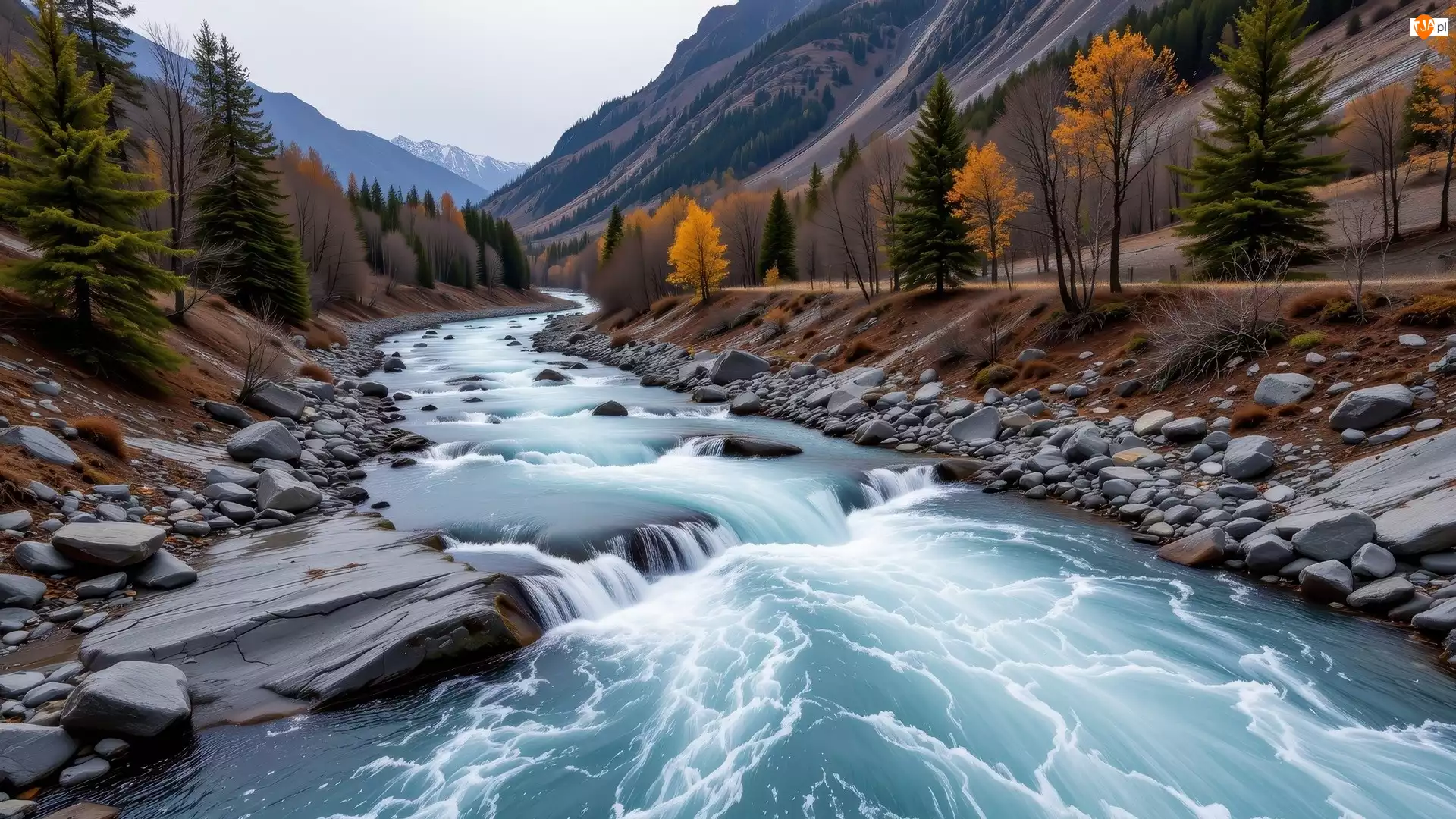 Góry, Jesień, Rzeka, Drzewa, Rwąca, Kamienie