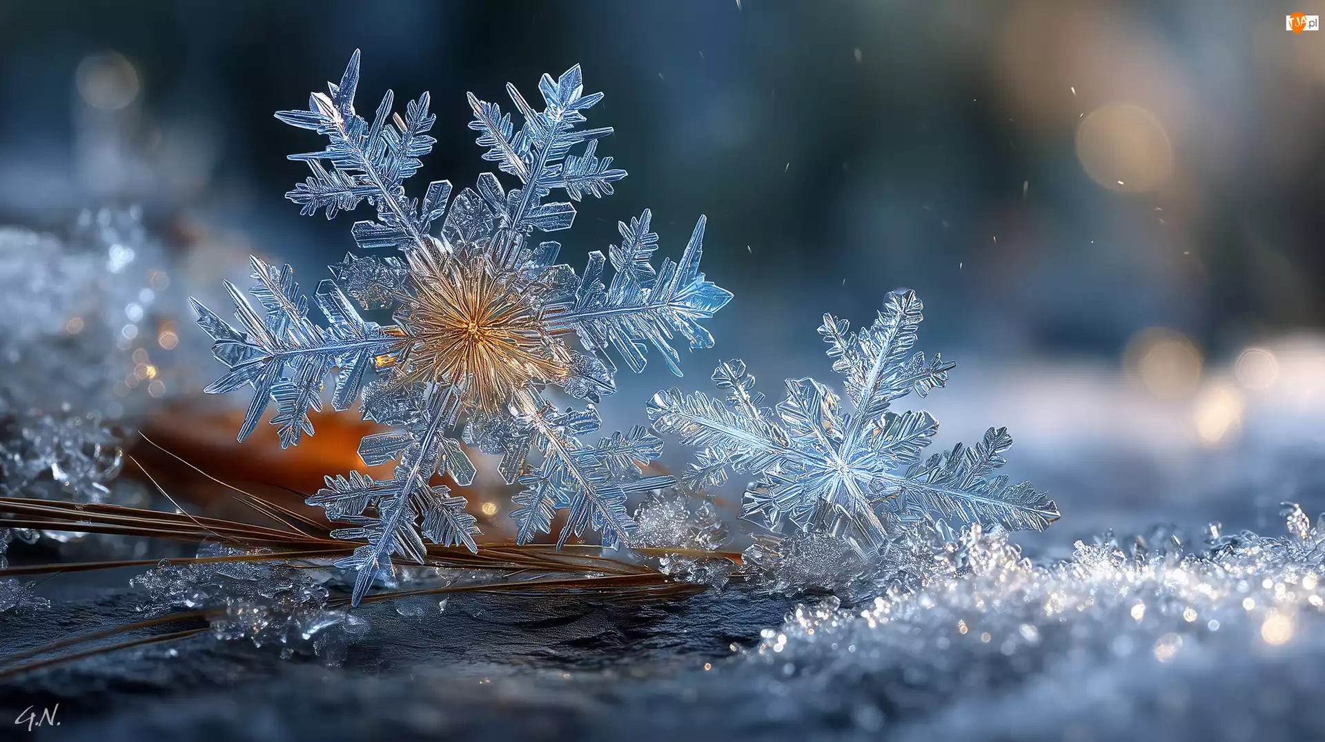 Grafika AI, Zima, Śnieżynki, Śnieg