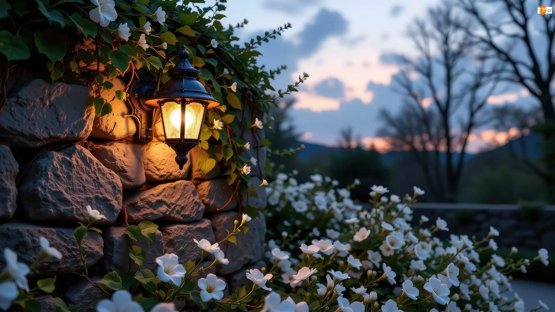 Białe, Drzewa, Latarnia, Mur, Kwiaty