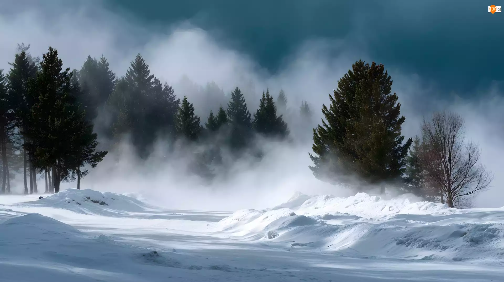 Drzewa, Grafika AI, Droga, Zima, Zamieć