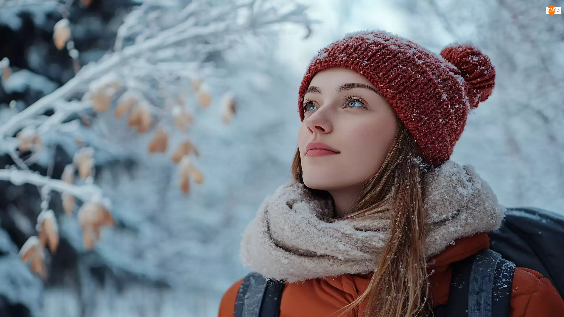 Czapka, Gałązki, Kobieta, Zima, Szal