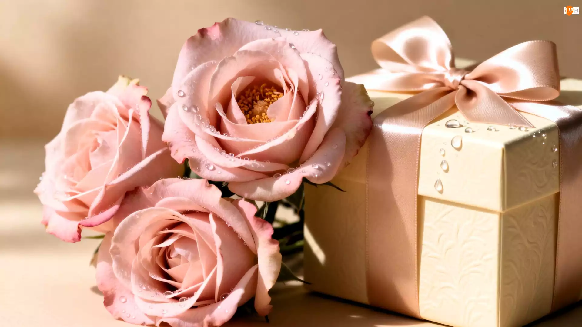 Jasnoróżowe, Róże, Krople, Trzy, Kokarda, Wstążka, Prezent