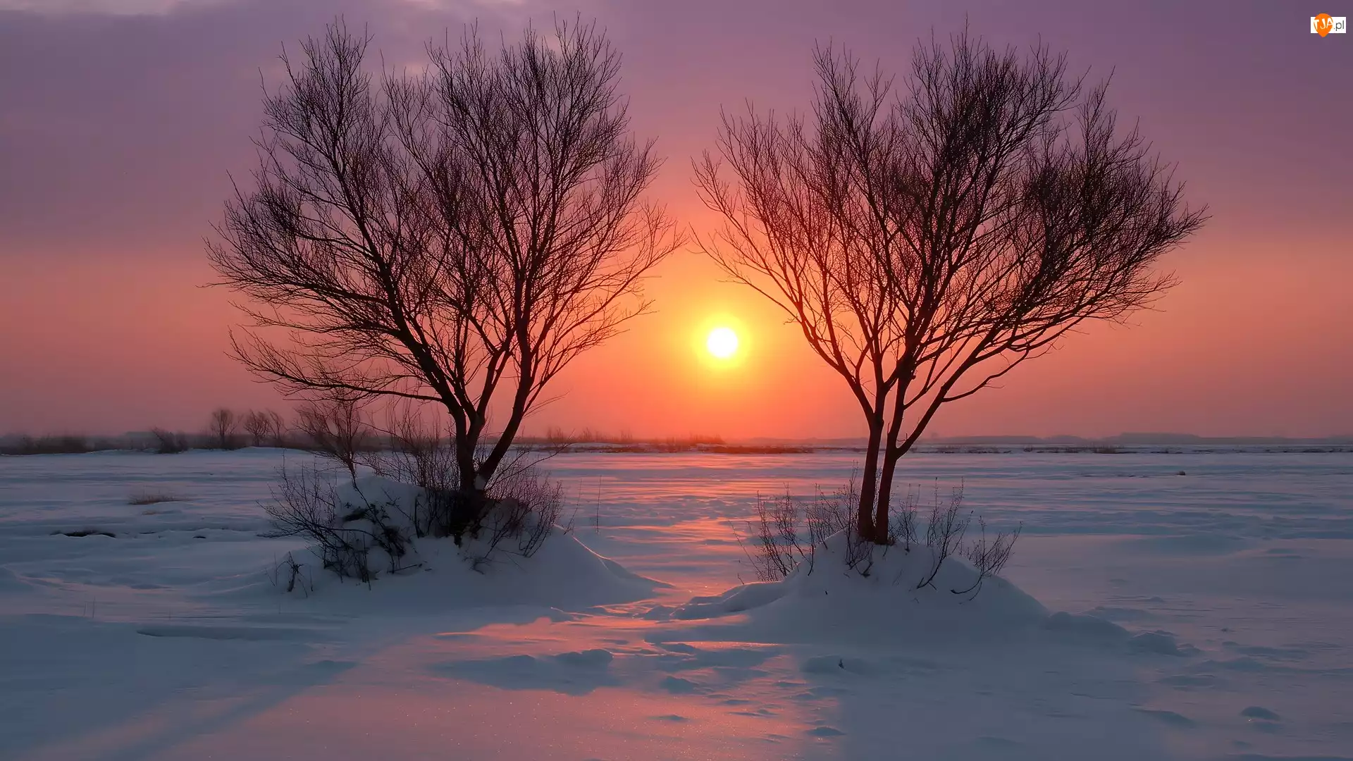 Zachód słońca, Zima, Pole, Drzewa, Ośnieżone, Dwa
