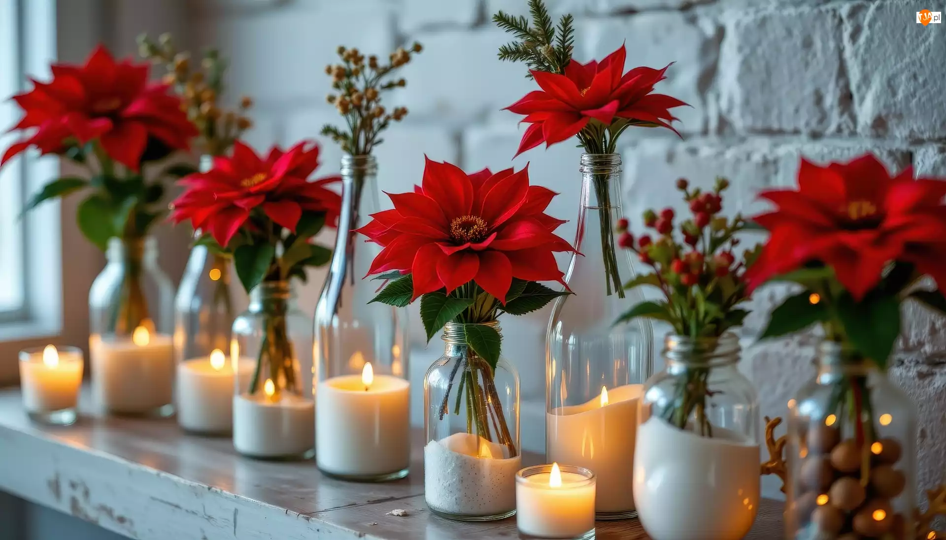 Gwiazda betlejemska, Kwiaty, Naczynia, AI, Świece, Szklane