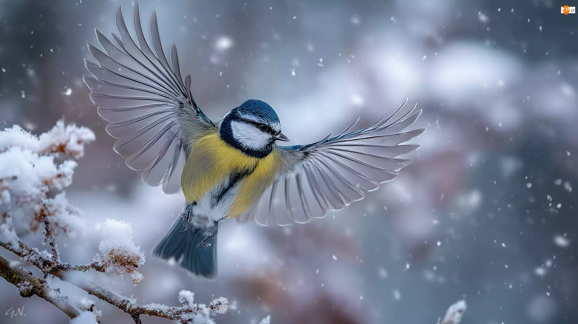 Gałązka, Grafika AI, Skrzydła, Sikora modraszka, Zima