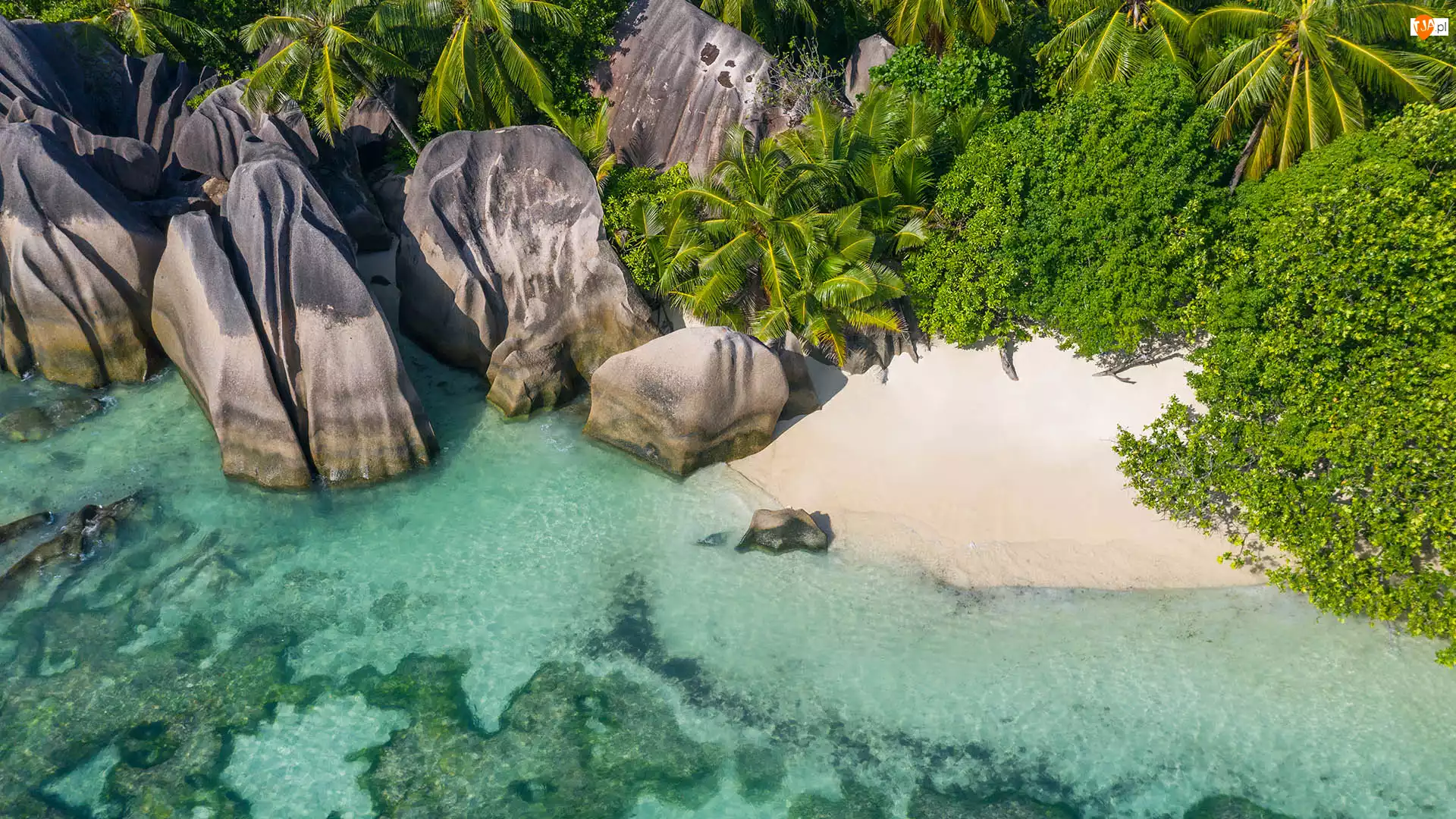 Głazy, Wyspa, Morze, Plaża, Seszele, Skały, Roślinność, Wyspa La Digue