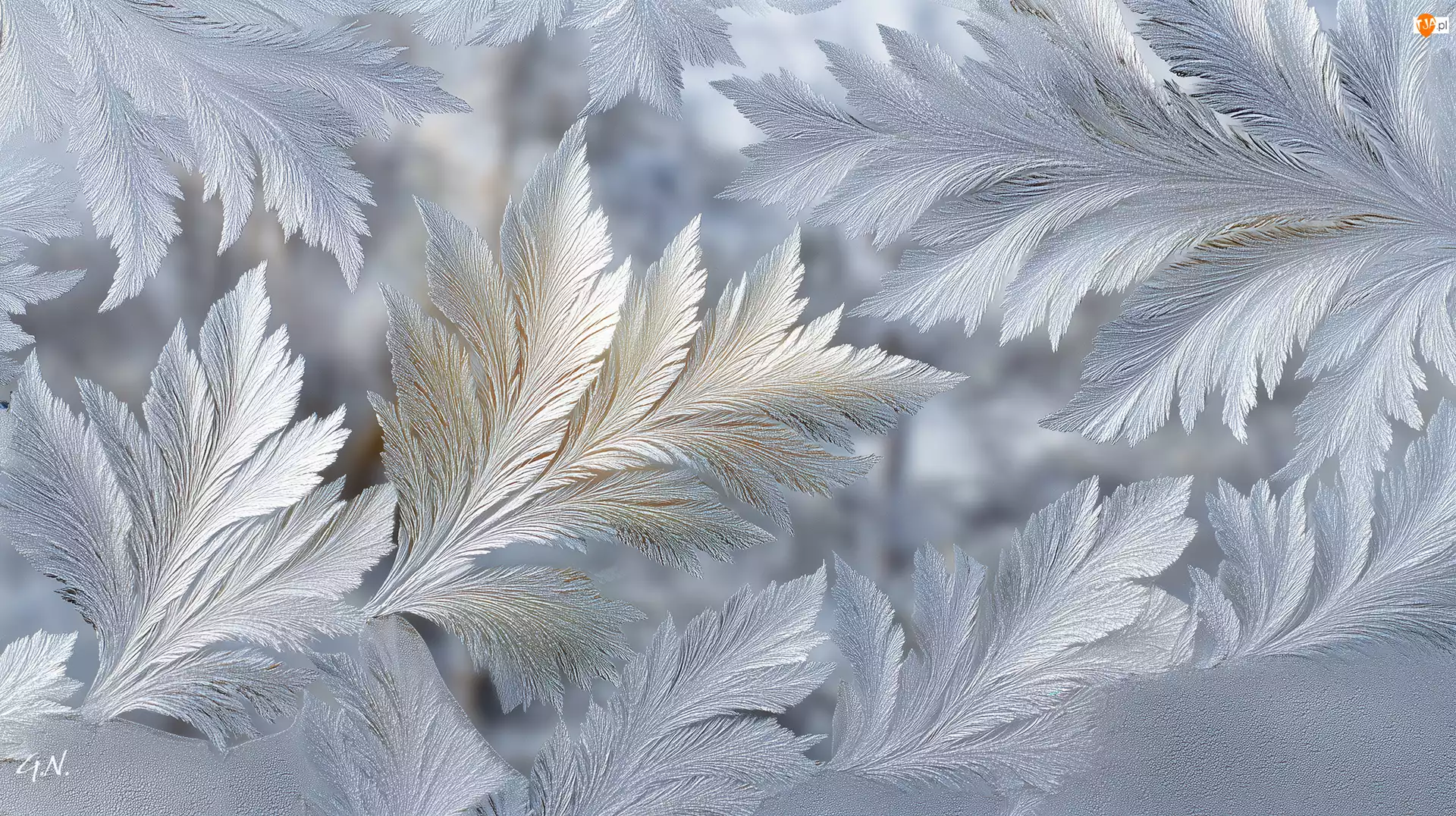 Szyba, Zima, Wzory, Mroźne, Grafika AI