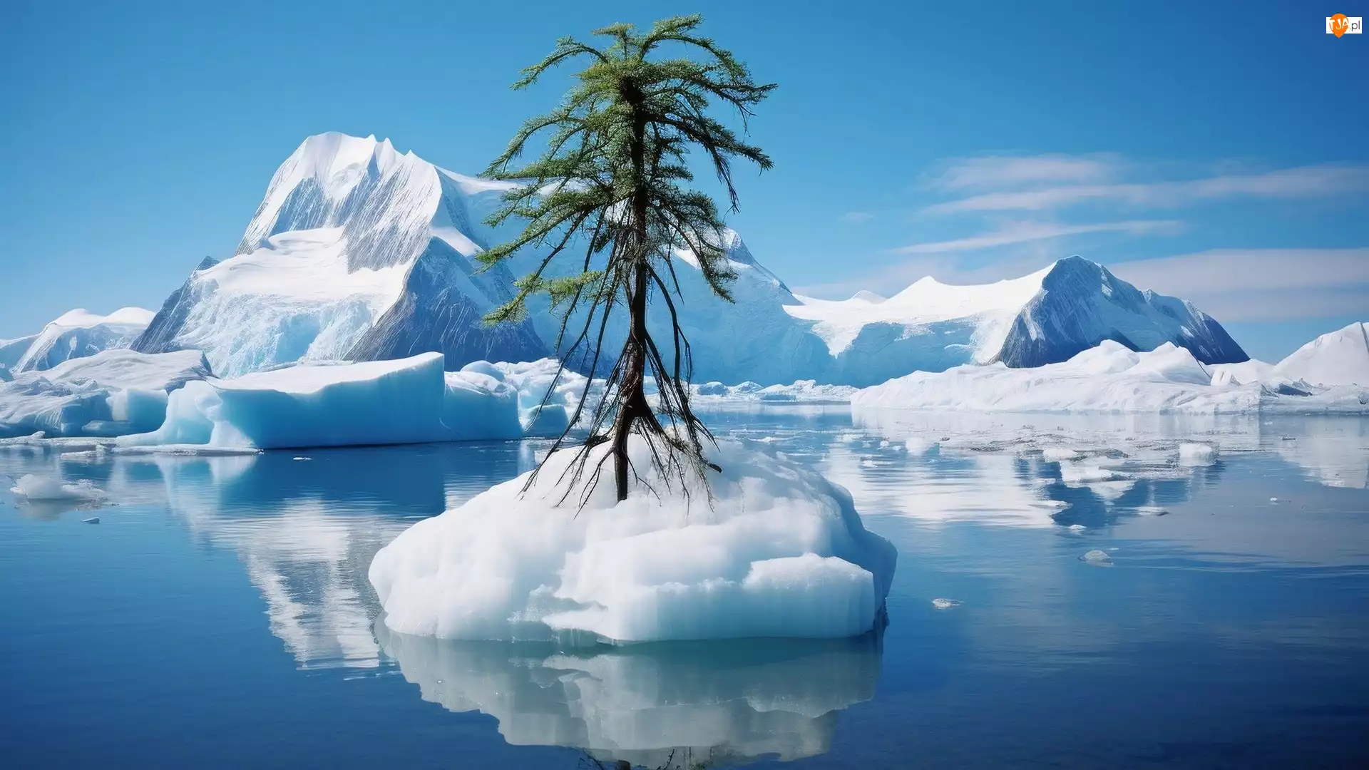 Grafika, Góry lodowe, Morze, Drzewo