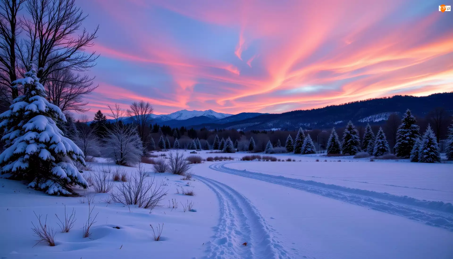 Drzewa, Ośnieżona, Grafika AI, Zima, Zachód słońca, Góry, Łąka