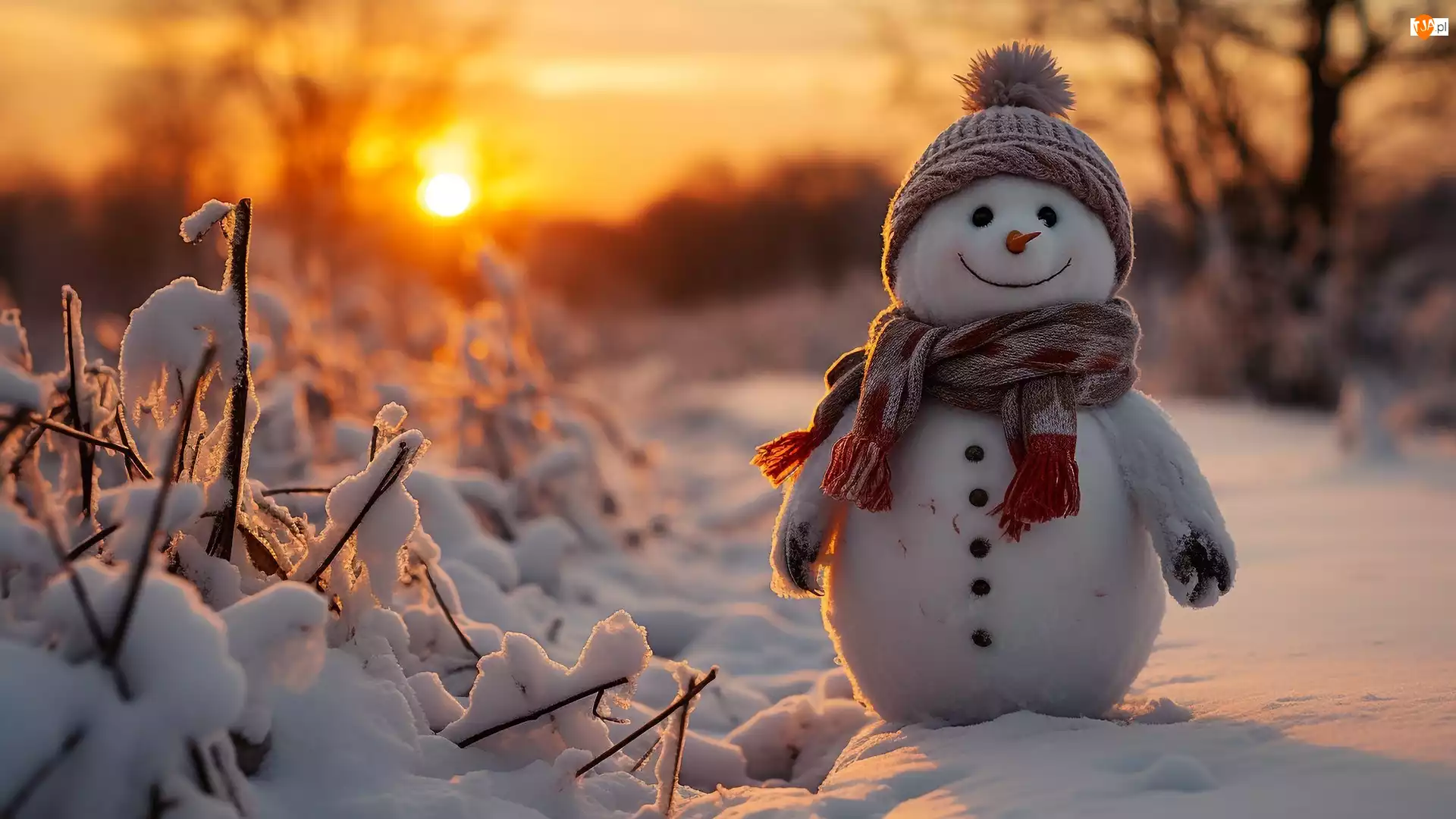 Al, Szal, Zachód słońca, Ośnieżone, Rośliny, Czapka, Zima, Bałwan, Śnieg