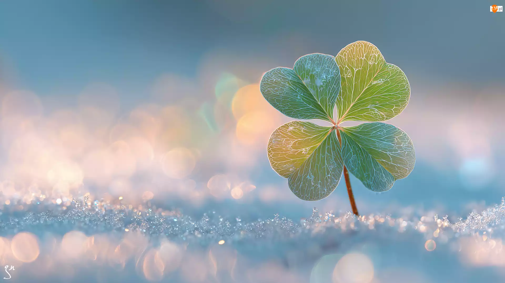 Grafika AI, Czterolistna, Koniczyna, Śnieg