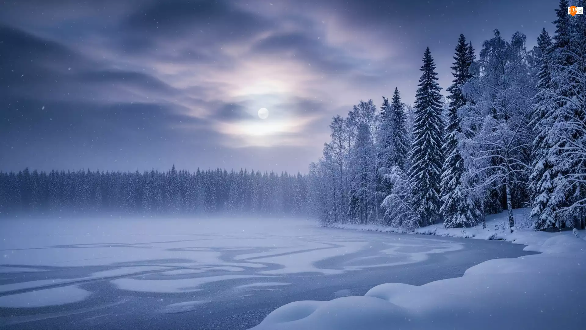 Drzewa, Księżyc, Jezioro, Zima, Mgła