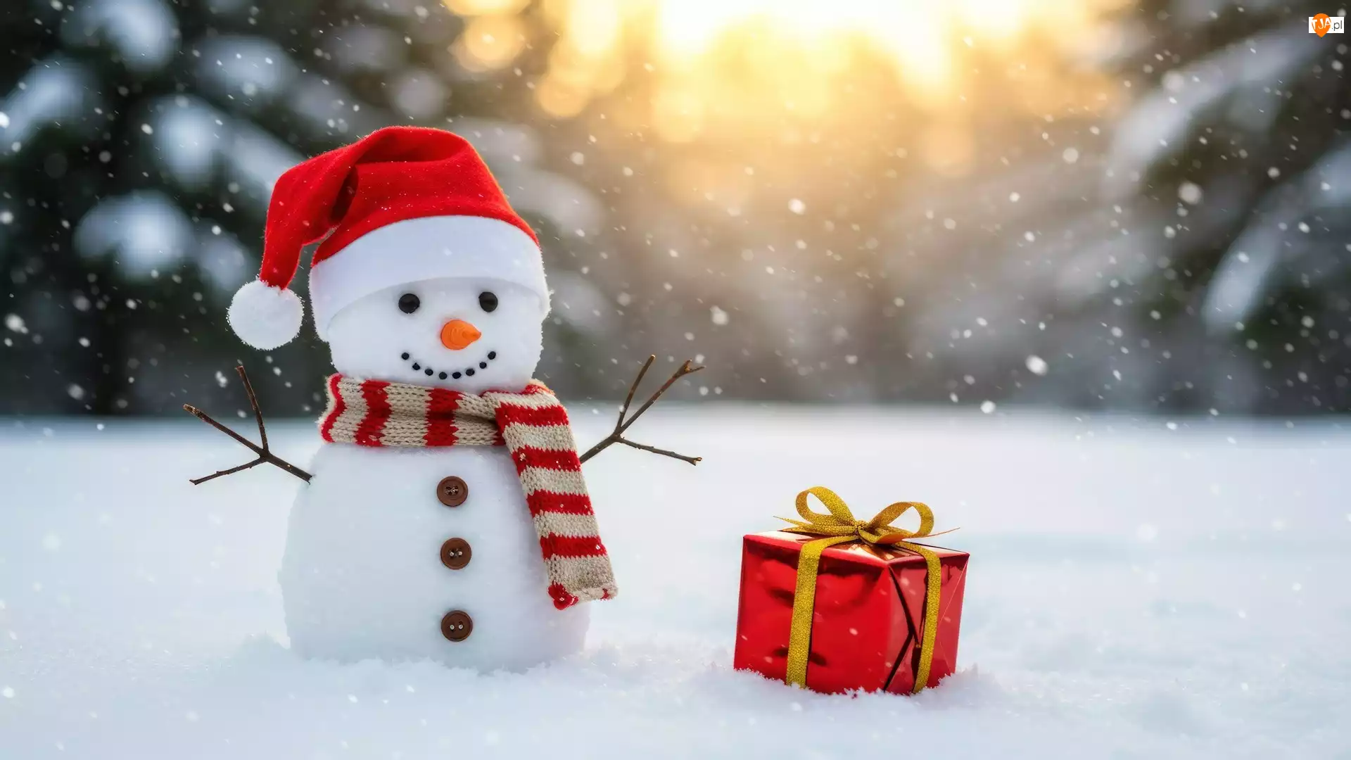 Bałwan, Zima, Czapka, Prezent, Szal, Mikołaja