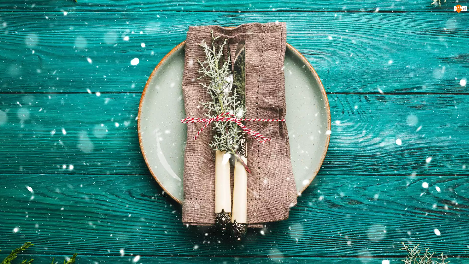 Gałązki, Talerz, Widelec, Nóż, Sztućce