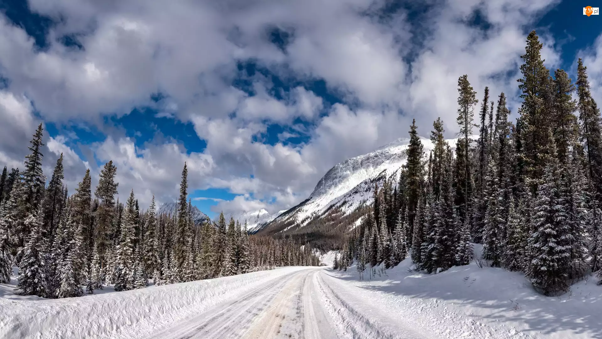 Las, Zima, Góry, Drzewa, Droga, Śnieg