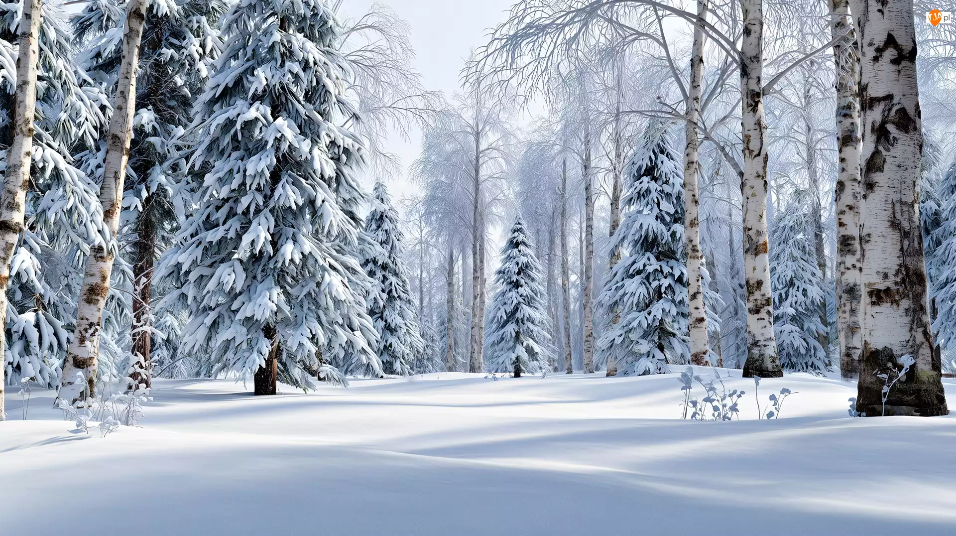 Las, Zima, Brzozy, Grafika AI, Drzewa, Świerki