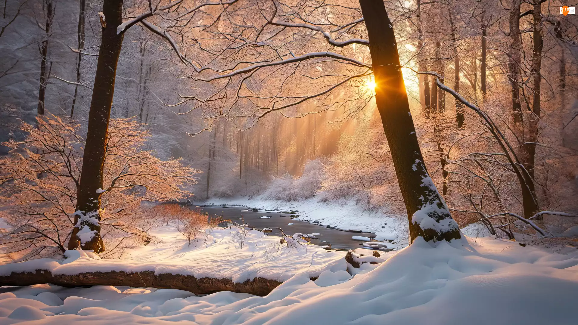 Przebijające światło, Drzewa, Las, Zima, Strumień