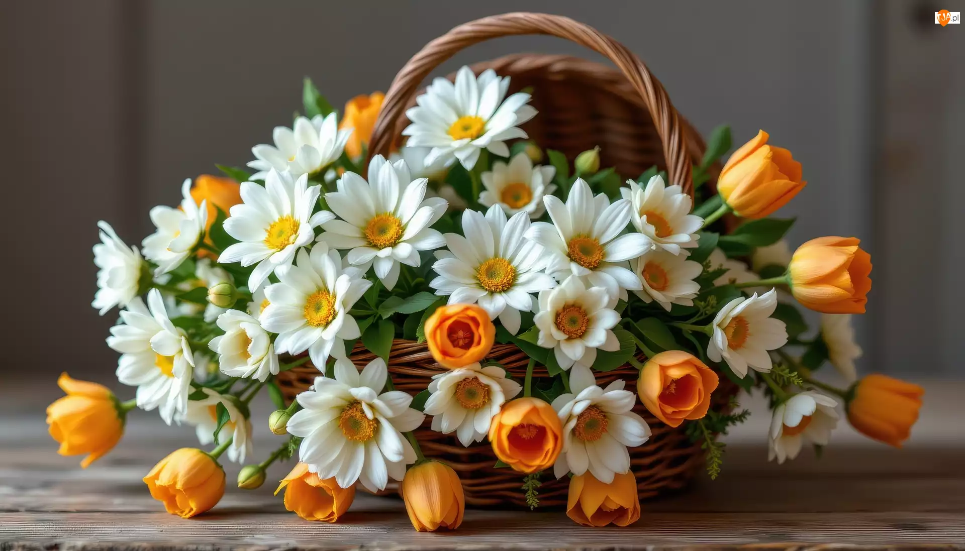 Bukiet, Kwiaty, Pomarańczowe, Koszyk, Białe, Tulipany, Deski, Chryzantemy