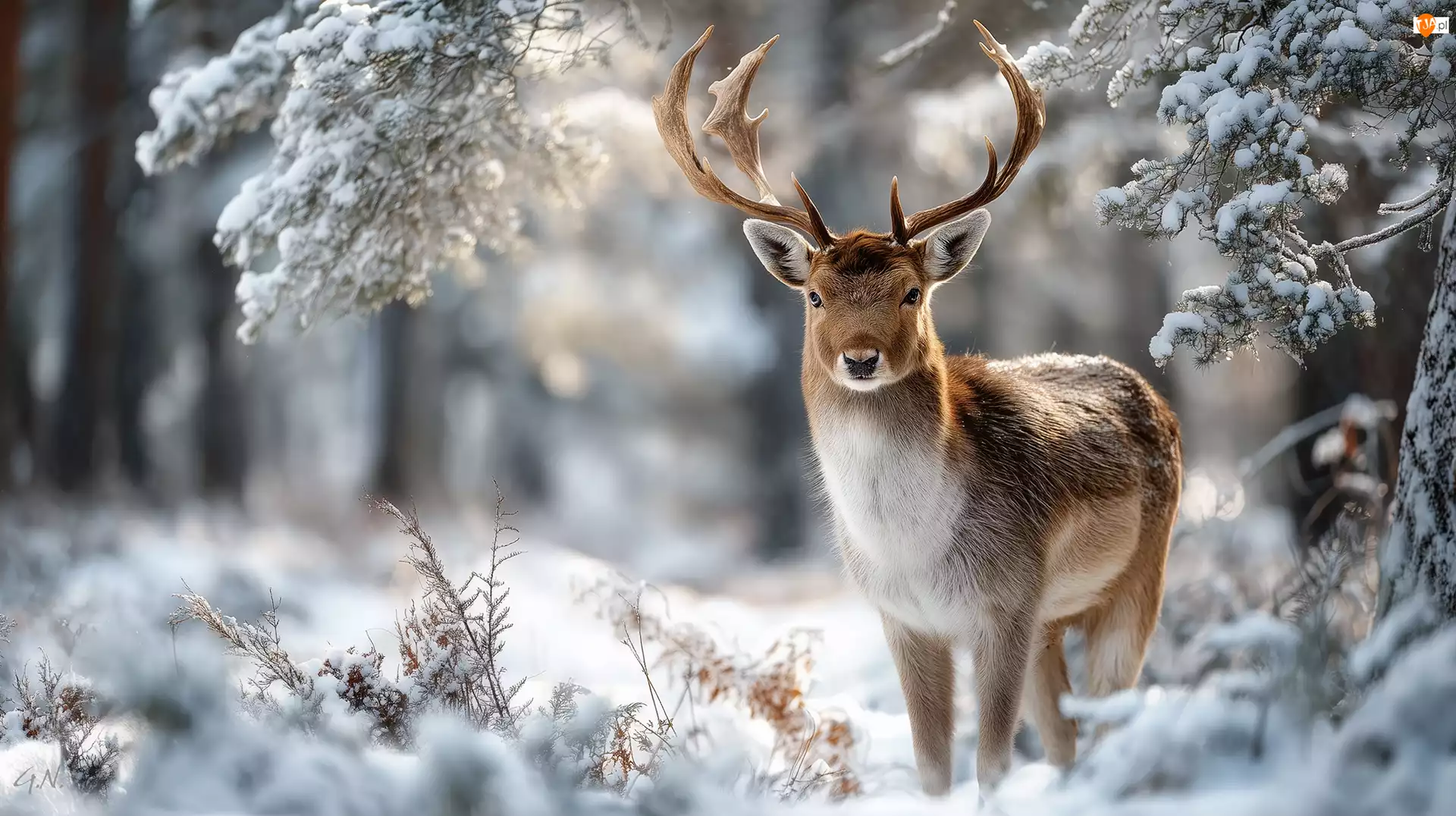 Grafika AI, Jeleń, Zima, Śnieg