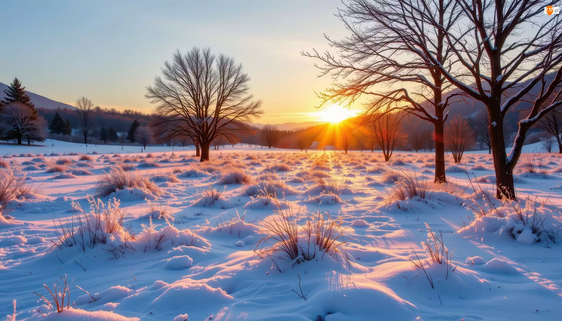 Ośnieżona, Zima, Drzewa, Grafika AI, Łąka, Wschód słońca