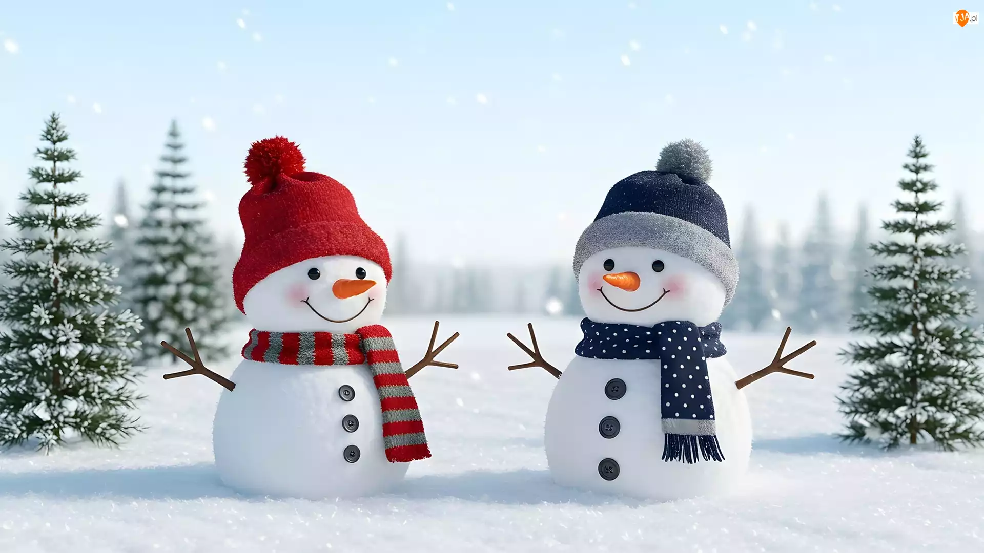 Dwa, Zima, Ośnieżone, Śnieg, Bałwany, Drzewa