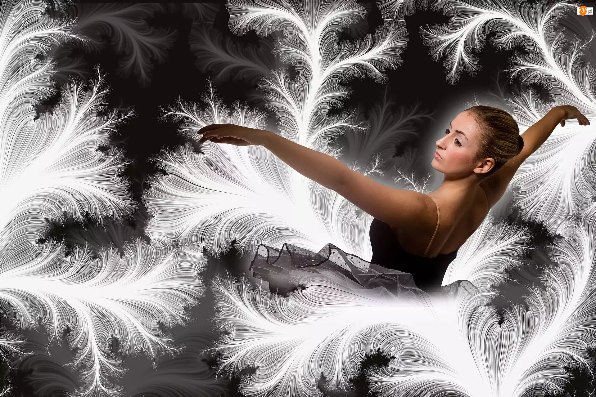 Kobieta, Taniec, Tancerka, Balet