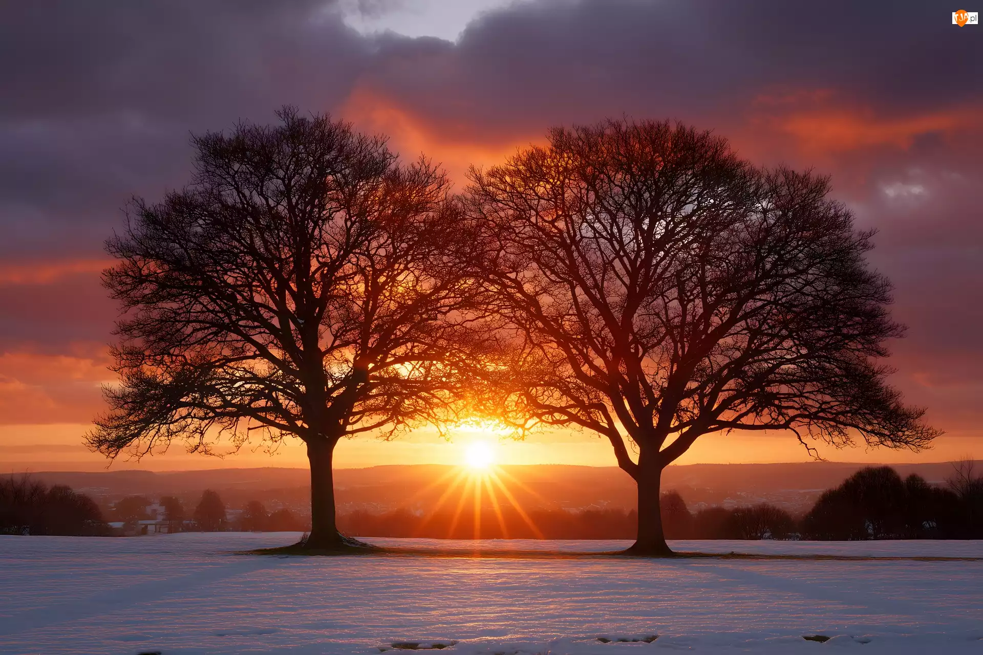 Ośnieżone, Pole, Grafika AI, Zima, Zachód słońca, Drzewa, Dwa