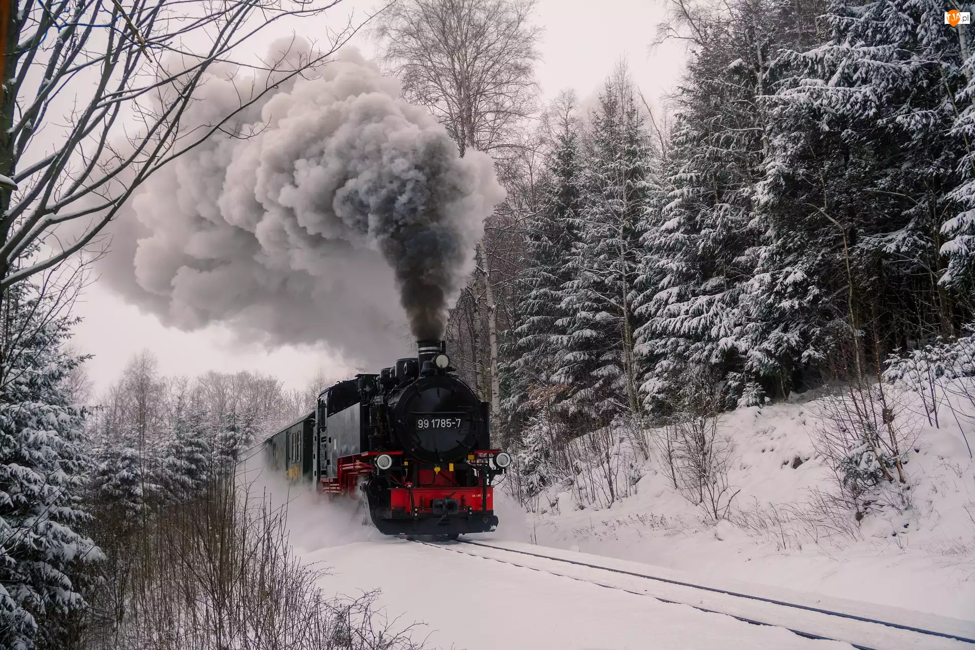 Lokomotywa parowa, Pociąg, Las, Drzewa, Śnieg, Zima