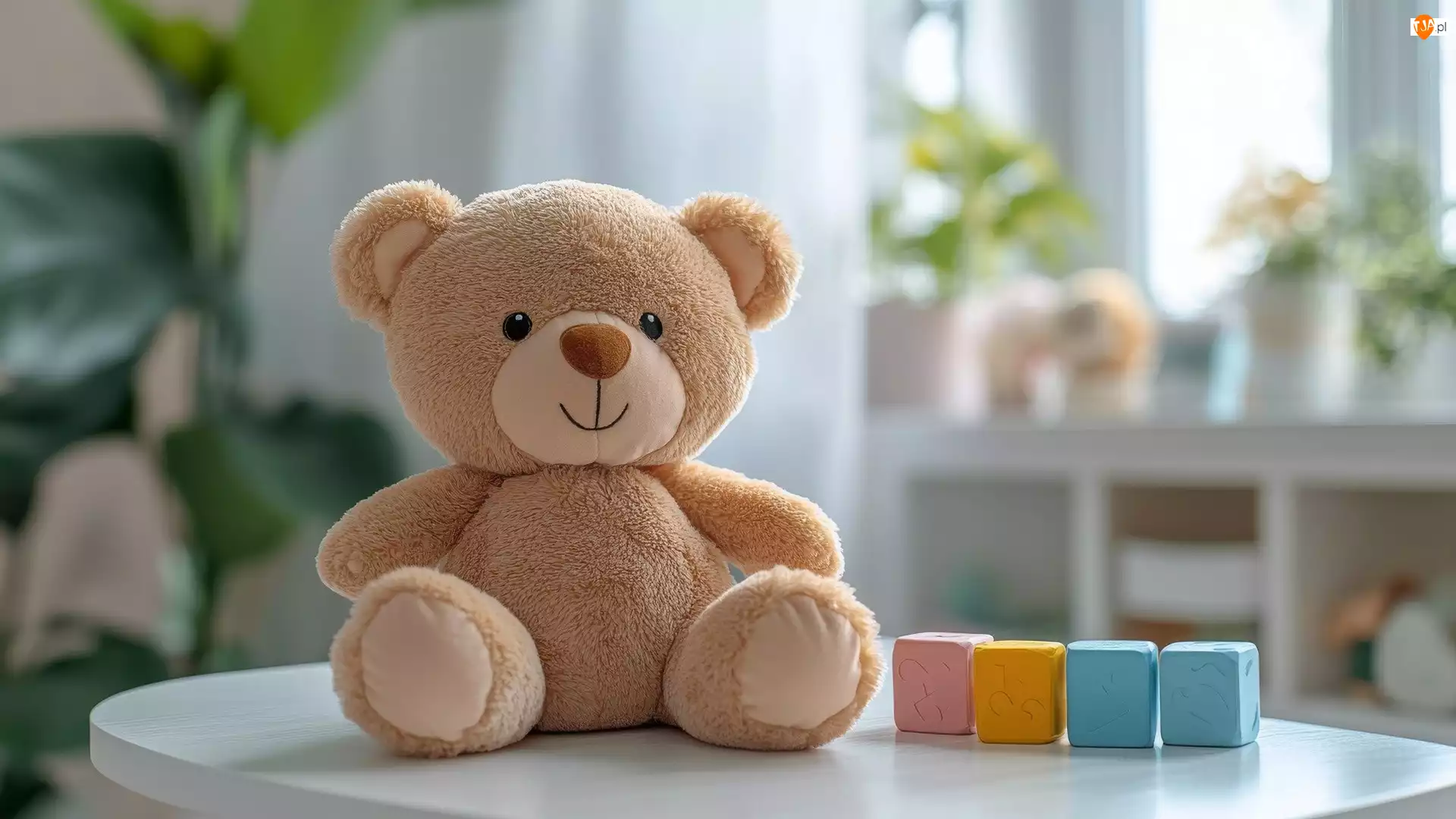 Miś, Kostki, Pluszowy, Zabawka, Kolorowe