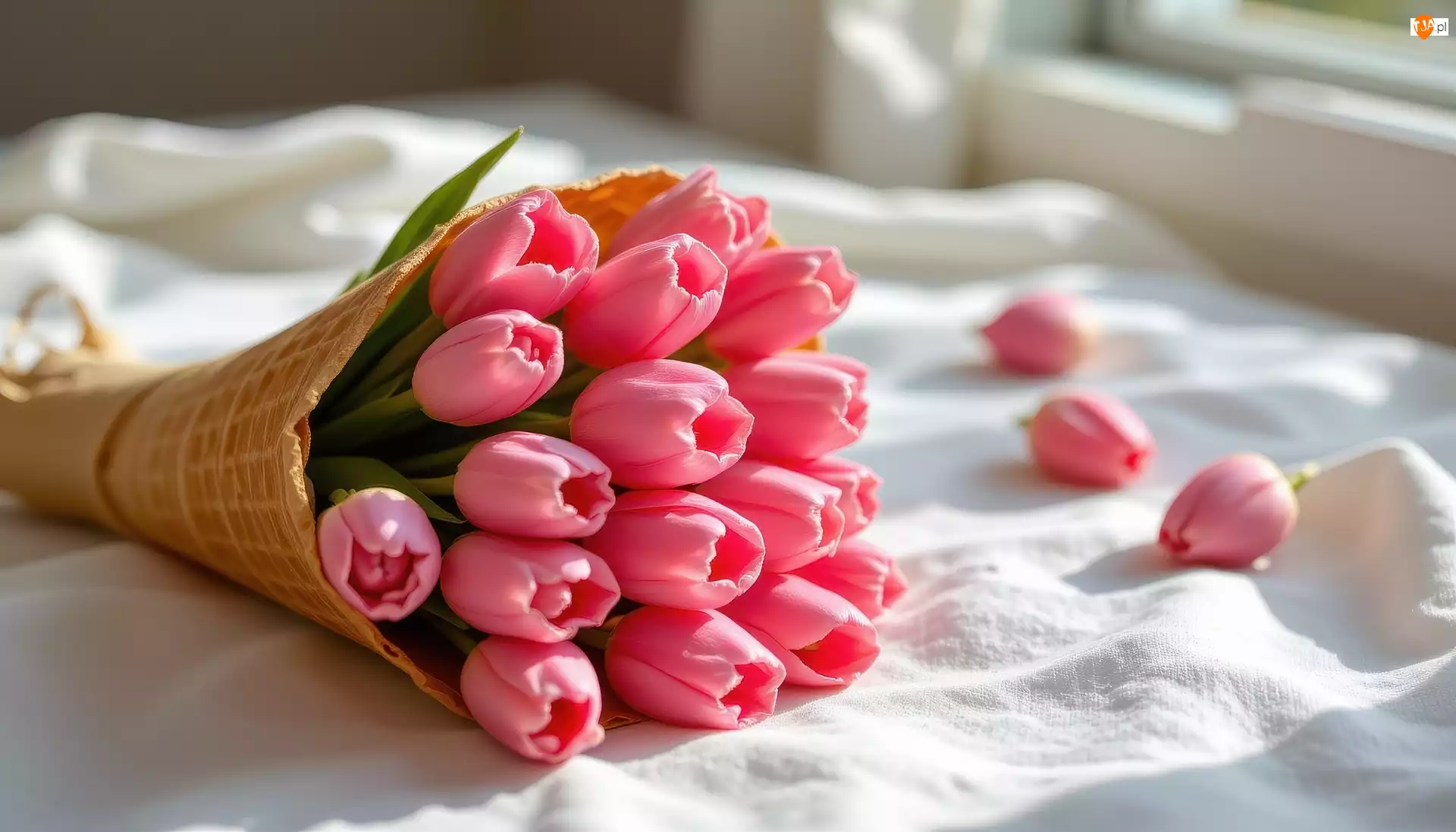 Rożek, Różowe, Tulipany