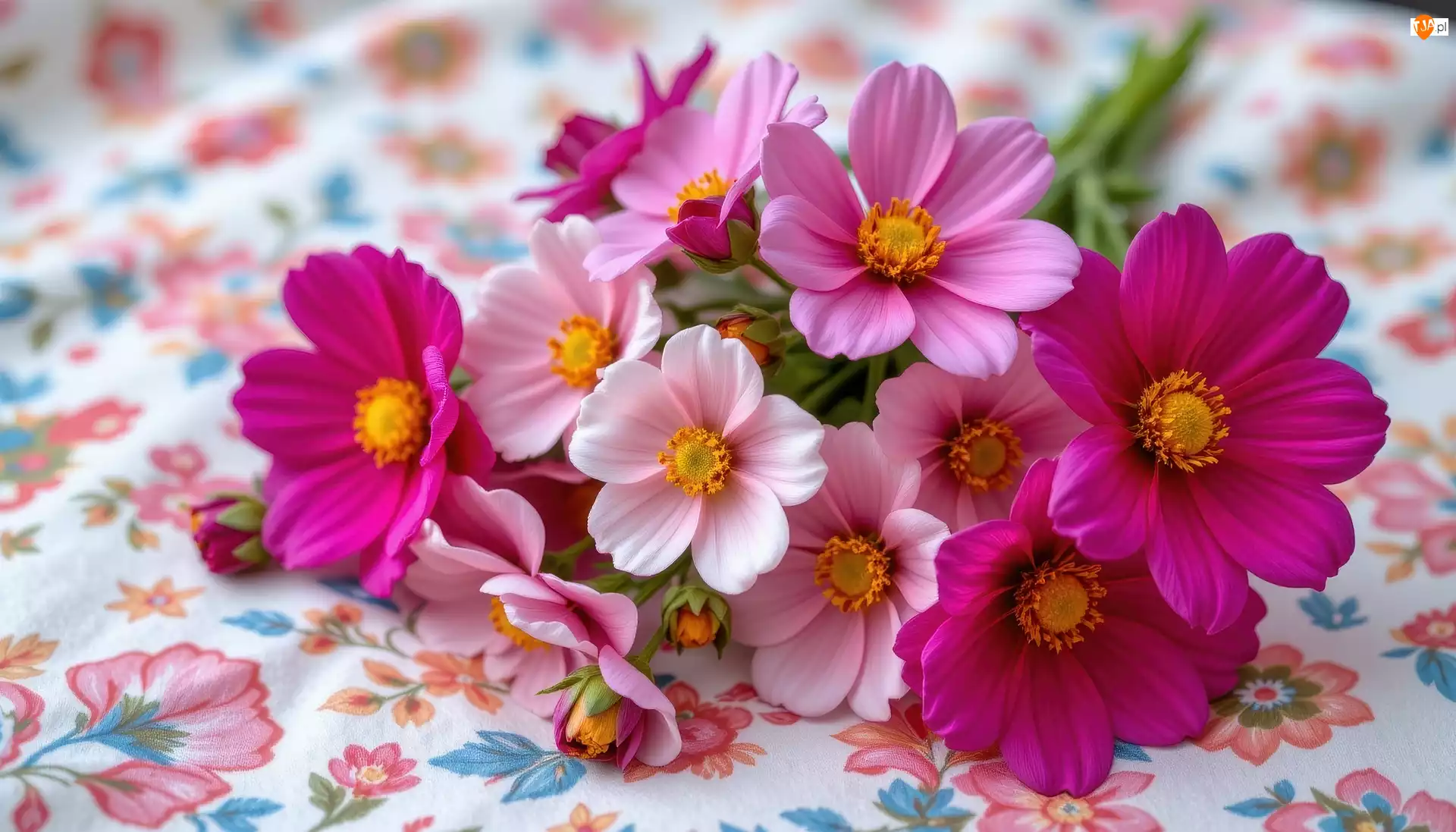 Materiał, Różowe, Kwiaty