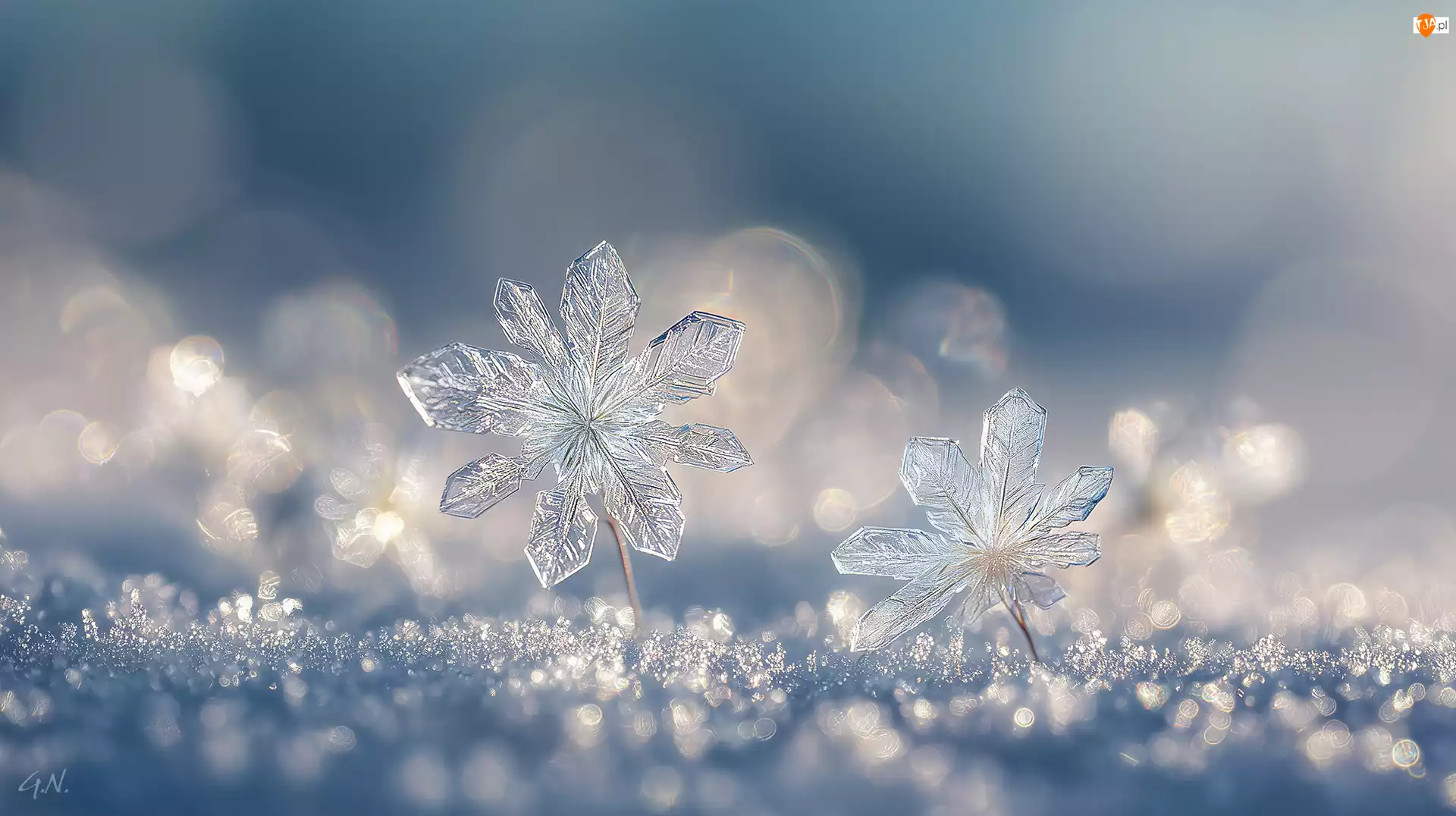 Grafika AI, Śnieżynki, Śnieg, Zima