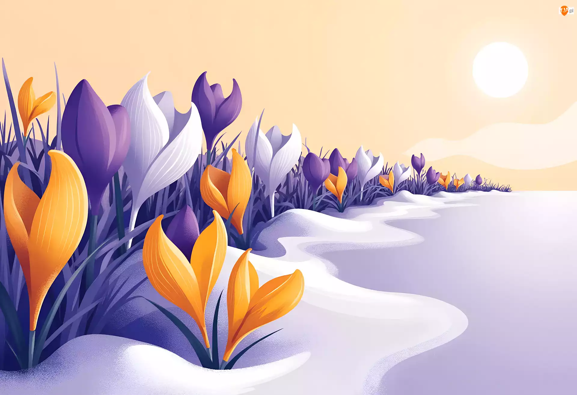 Krokusy, Grafika, Kwiaty, Zima, Śnieg