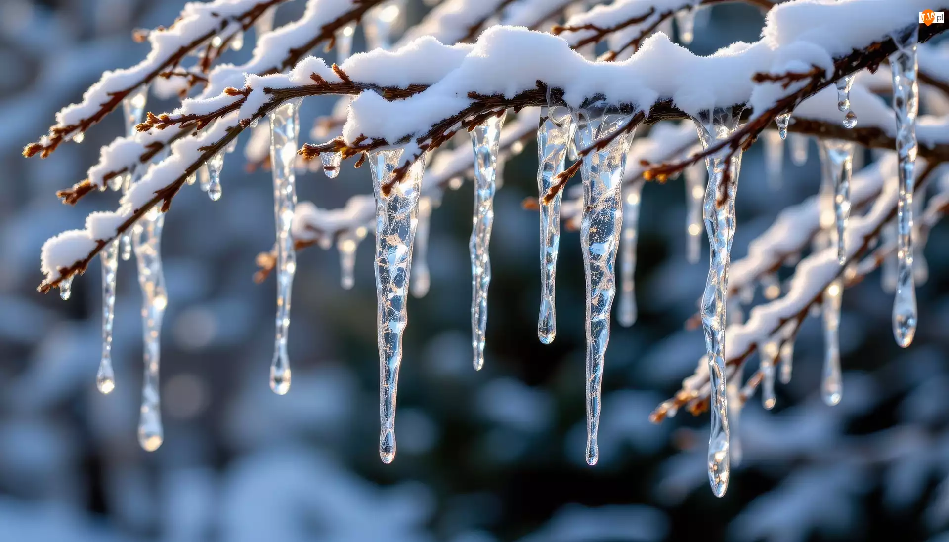 Gałązki, Grafika AI, Śnieg, Sople, Zima