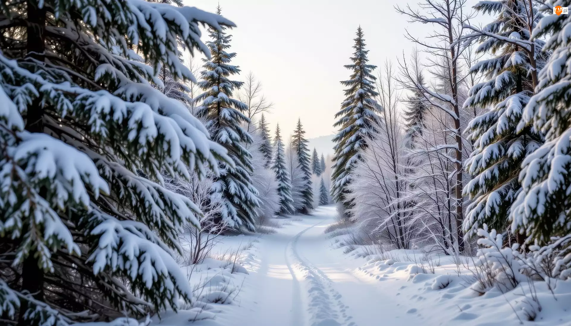Las, Ośnieżone, AI, Zima, Śnieg, Droga, Drzewa