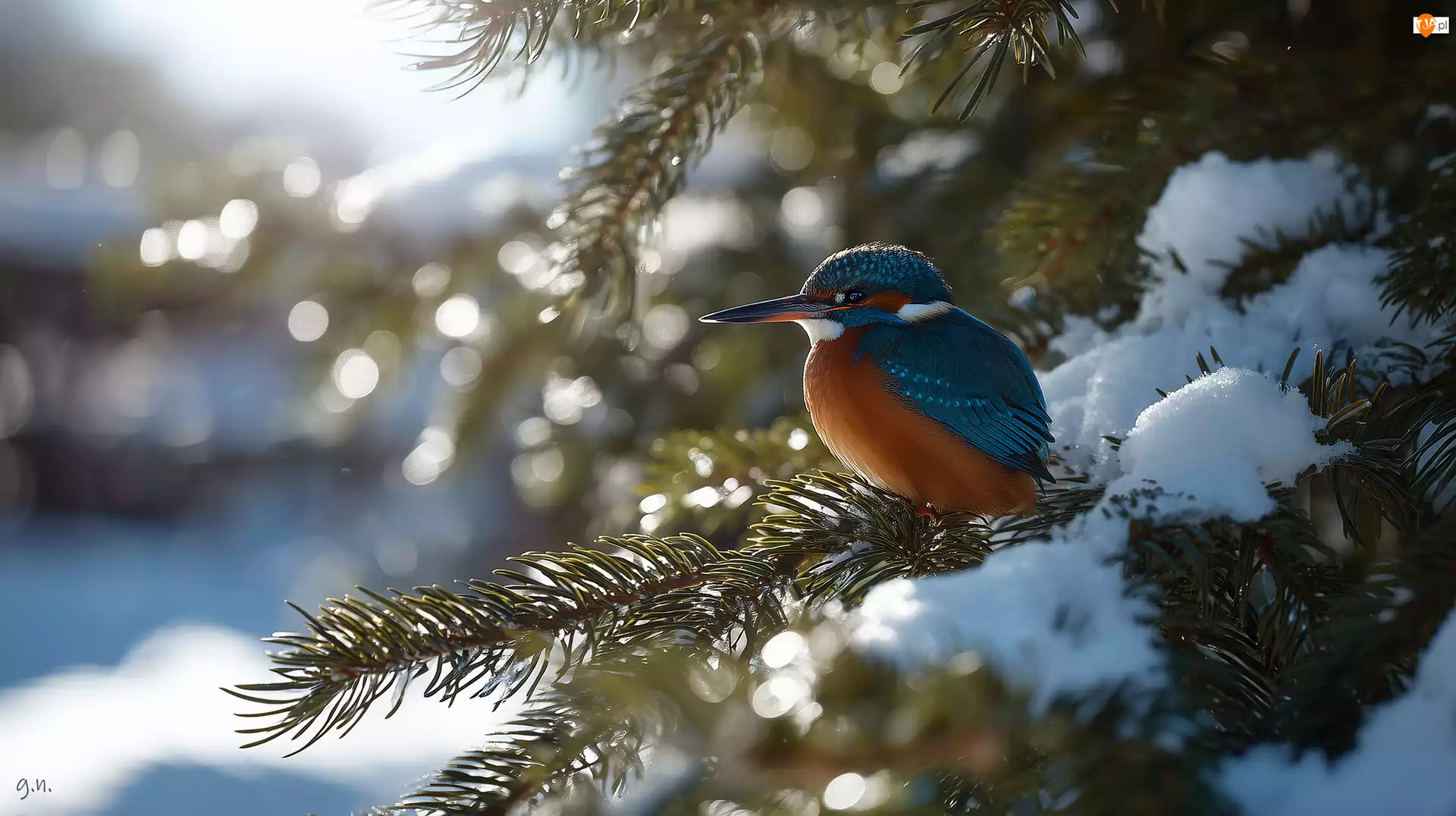 Śnieg, Grafika AI, Świerk, Zimorodek, Zima