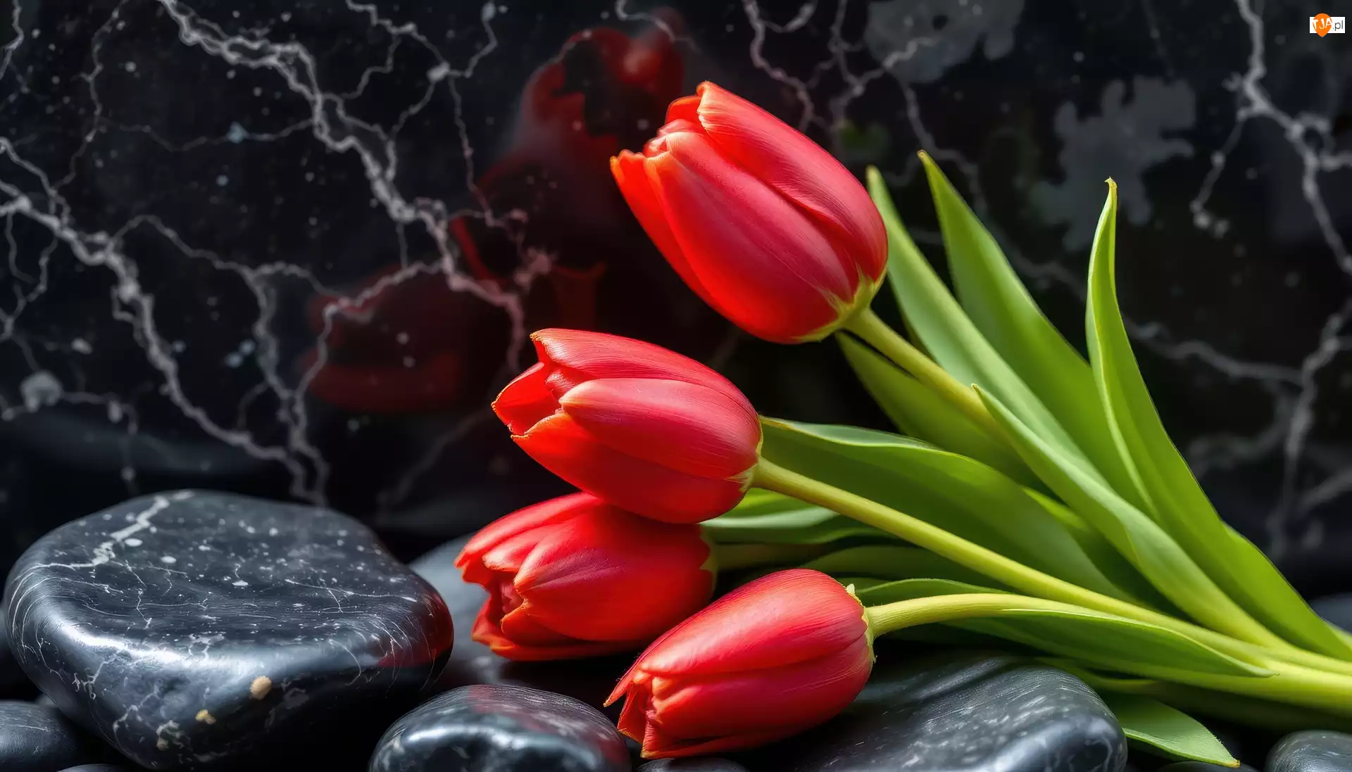 Kamienie, Marmurowe, Czerwone, Tulipany, Tło