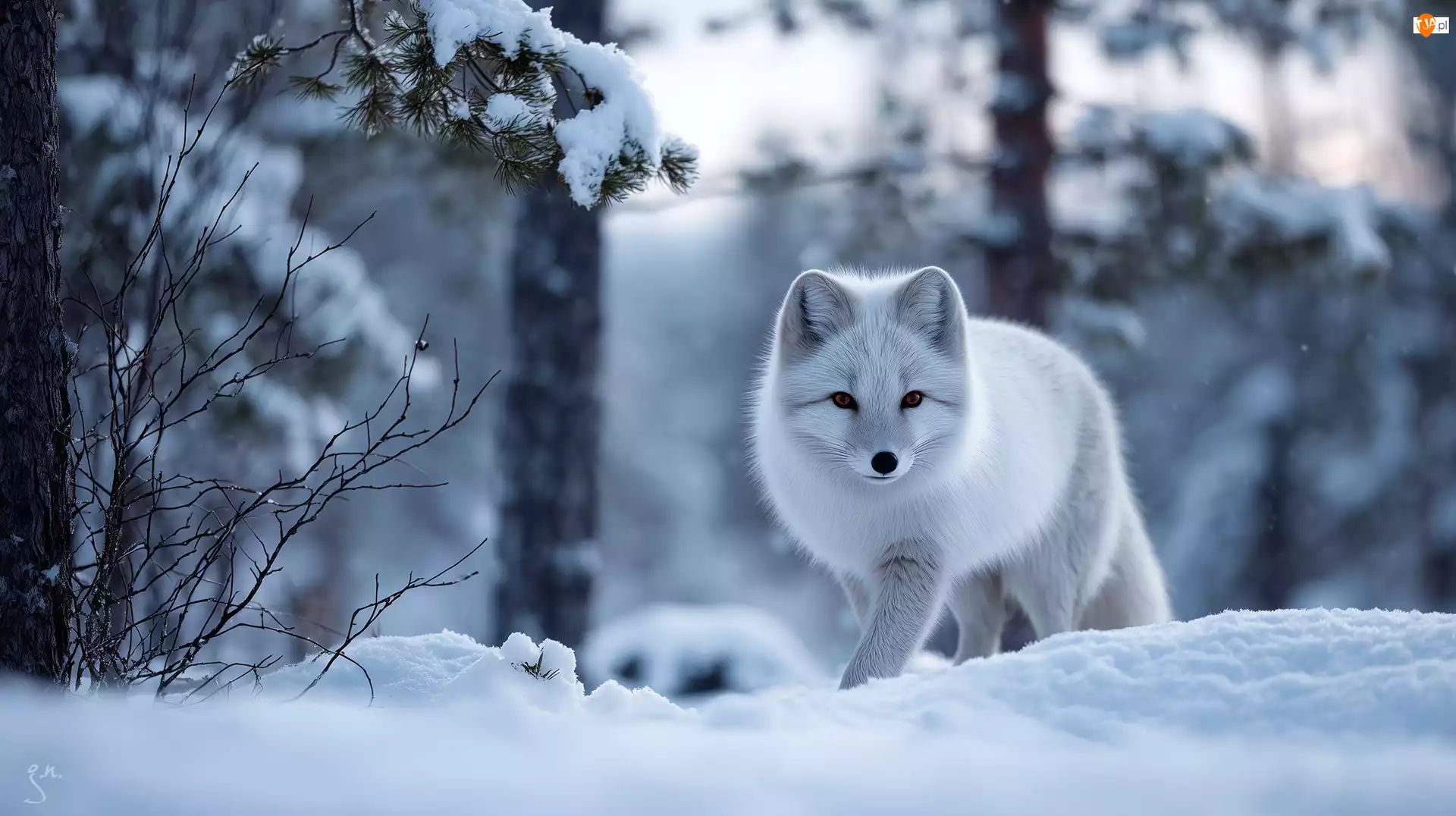 Las, Grafika AI, Lis, Biały, Zima