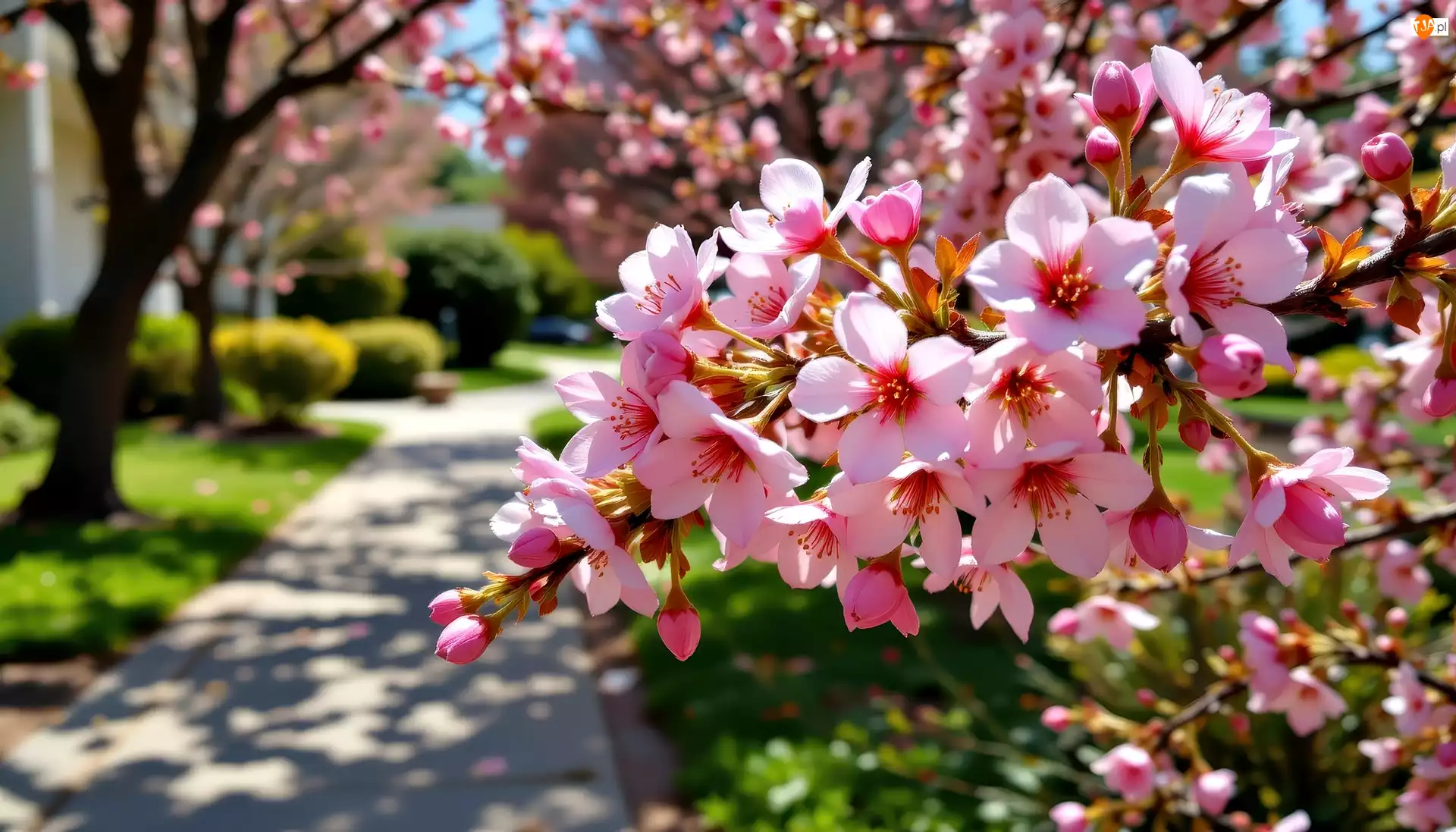 Grafika AI, Kwiaty, Gałązka