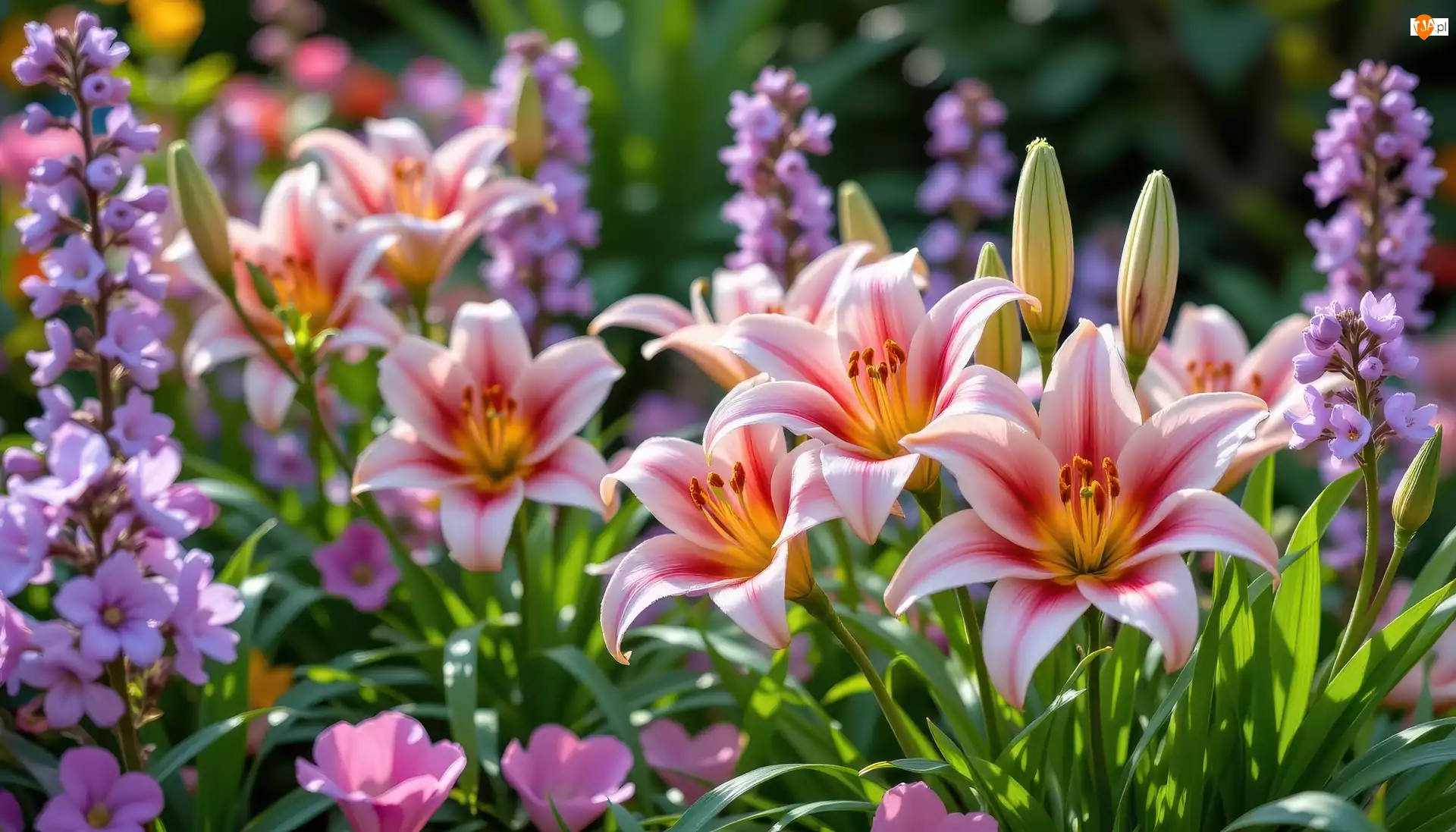 Grafika AI, Kwiaty, Lilie