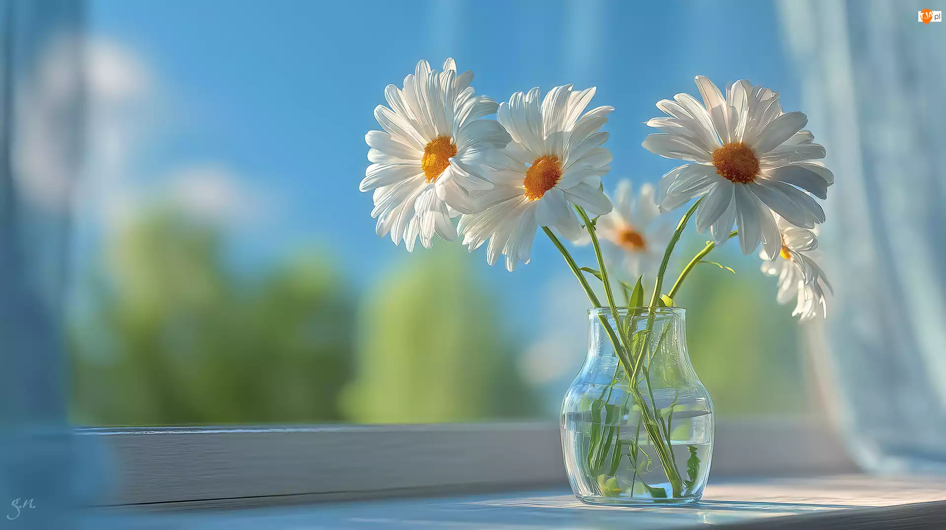 Grafika AI, Margerytki, Wazon, Okno