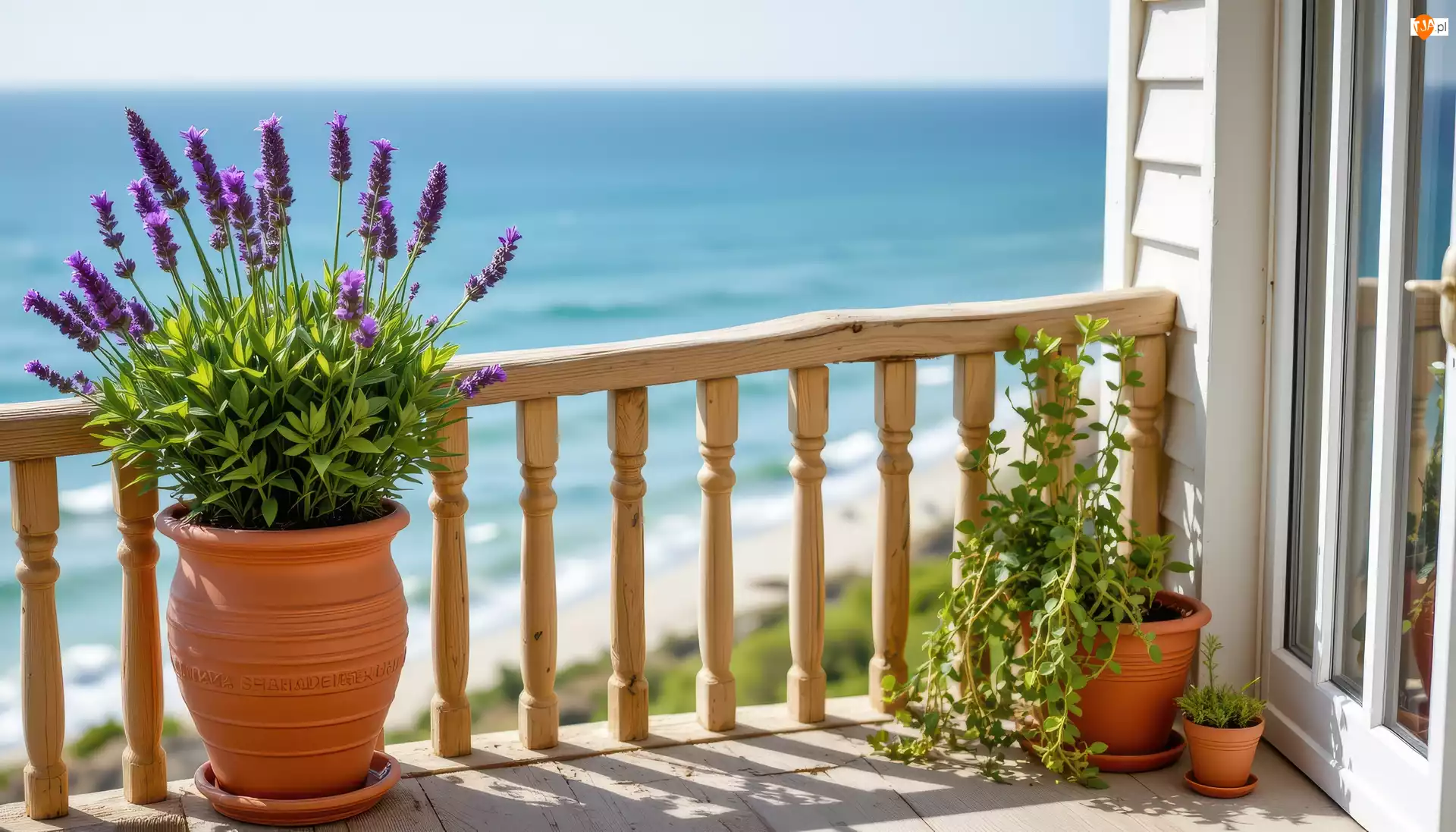 Morze, Balkon, Donica, Lawenda