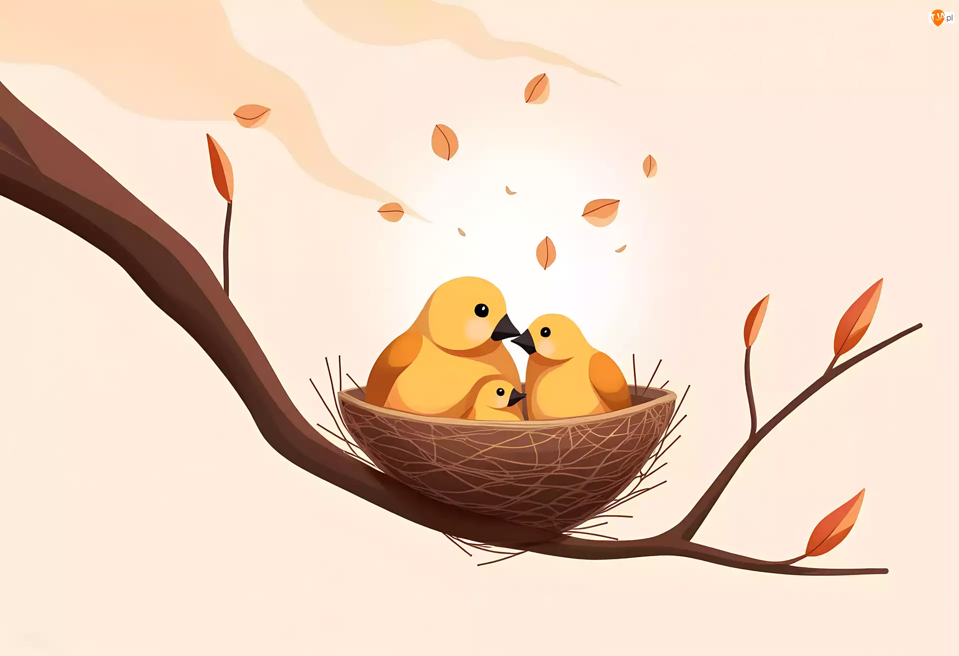 Gałąź, Trzy, Ptaki, Gniazdko