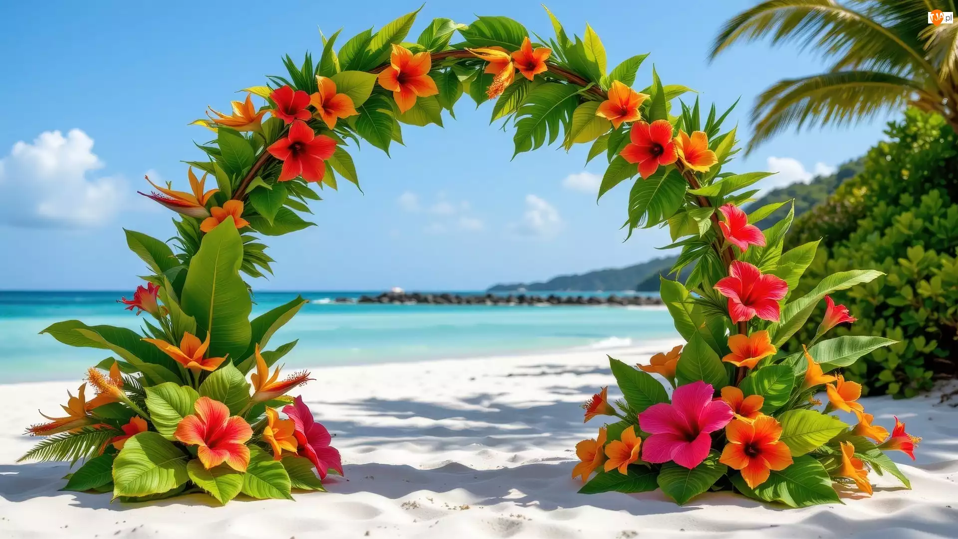 Plaża, Kwiatowy, Kwiaty, Liście, Łuk, Morze, Palmy, Kolorowe