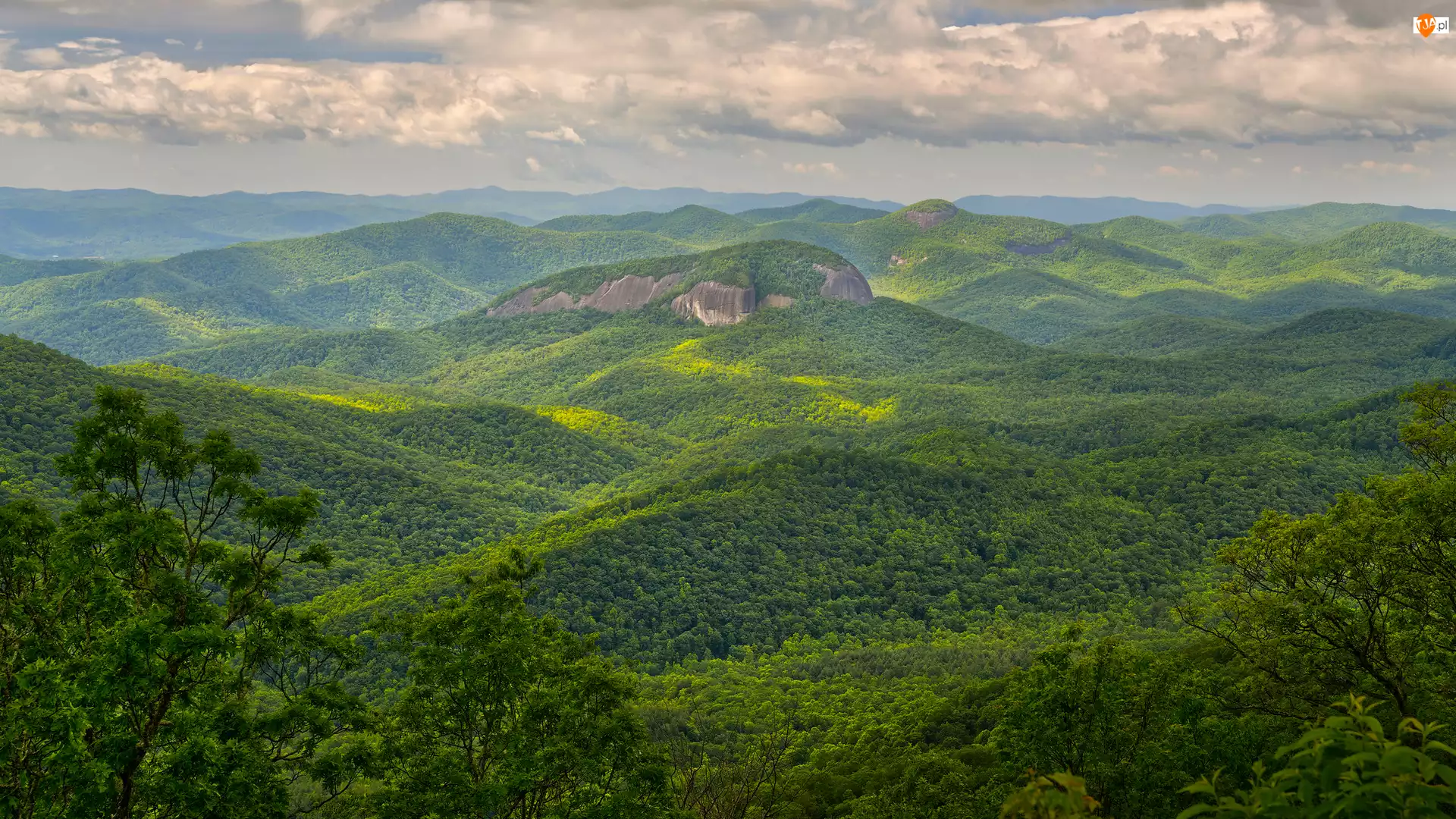 Stany Zjednoczone, Skała, Looking Glass Rock, Drzewa, Góry, Zalesione, Zielone, Appalachy, Wzgórza, Karolina Północna