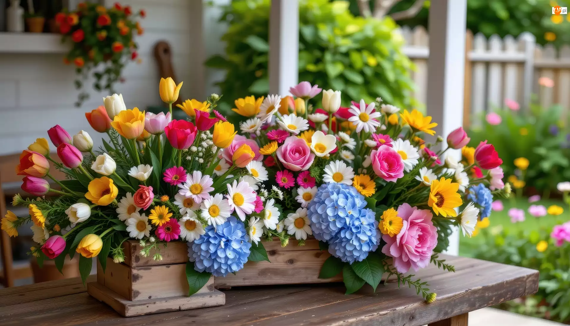 Stół, Kolorowe, Kwiaty, Skrzynka