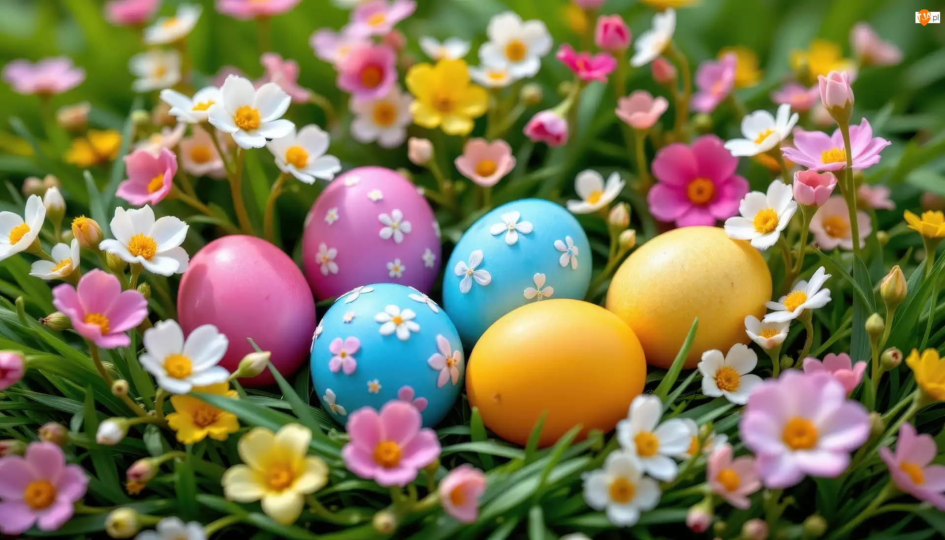 Pisanki, Jajka, Trawa, Wielkanoc, Kwiaty, Drobne, Kolorowe